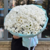 Букет из хризантем "Лесные чары"